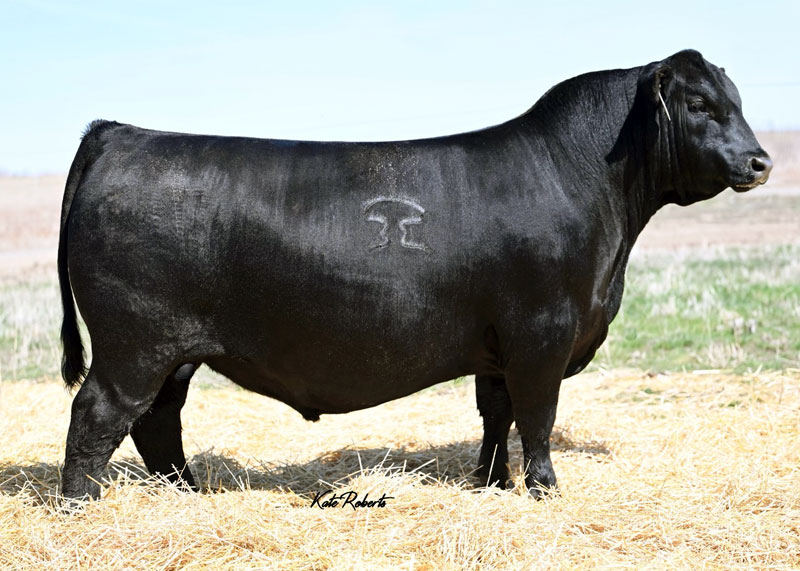 Basin True Value 3017