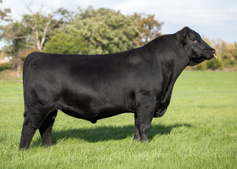 Virginia Tech Statesman